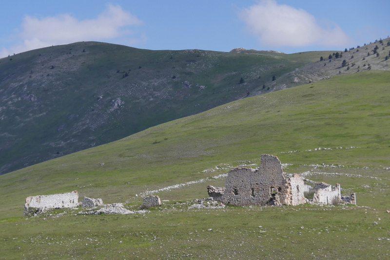 Orchidee a Campo Imperatore tra Medioevo e wilderness  primavera 2023